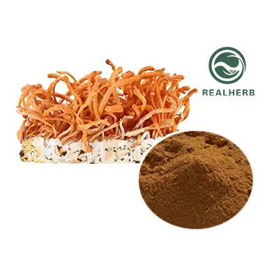 Cordyceps Militaris Extract