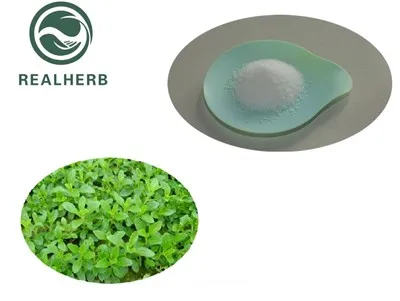 Ist Stevia-Extrakt koscher?